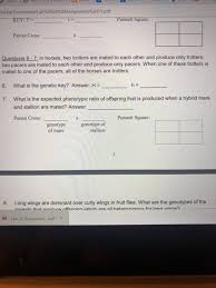 This is one of three versions, with different orders of to be inherited together in a cross. Genotypes And Phenotypes For One Trait Answers Pdf
