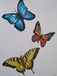 This tutorial is perfect for all art enthusiasts. Butterflies Drawing With Colored Pencils Color Pencil Art Colored Pencil Art Projects Flower Art Painting