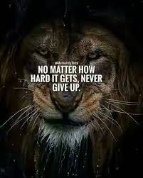 Pin By Johnny On Personal Growth Lion Quotes Warrior Quotes Motivatinal Quotes