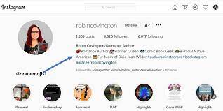 And join one of thousands of communities. How To Create A Great Instagram Bio Writer Nation