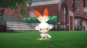 Sobble, scorbunny and grookey were revealed alongside the gen 8 games, but since then we haven't learned much. Scorbunny Opens Up Early Lead As Pokemon Sword And Shield S Most Popular Starter But It Has Competition Usgamer