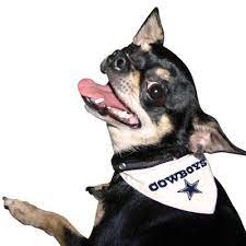 Dallas Cowboys Pet Collar Bandana Pet Collars Pets Football Dog Collar