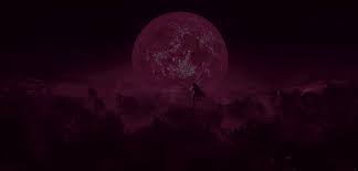 Bird bulbul nature animal birds macro beautiful feathers branch closeup outside blue tree raptor water feather robin wings background sky bird of prey red animals flight perched fly pelican portrait wildlife. Binge Watch Mommy Slices From Life