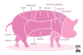 pork cuts 101 a diagram modern farmer