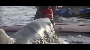 Jaws 2 movie trailer (1978) plot synopsis: Jaws 2 1978 Home Theater Forum