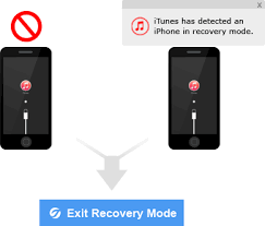 Enter Exit Iphone Recovery Mode With One Click Iphone Recovery Recovery Tools