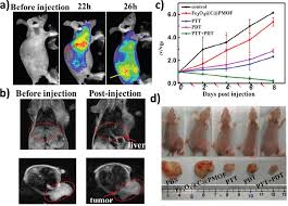 Malaysia uses malaysia time myt. Nanoscale Metal Organic Frameworks For Phototherapy Of Cancer Abstract Europe Pmc