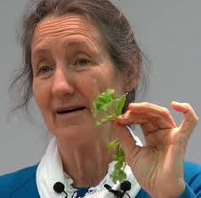 Made oatmeal raisin cookies 1 1/2 cup crisco 2 cups brown sugar 1 cup sugar  2 eggs 1/2 cup water 2 tsp vanilla 6 cups of uncooked oats (quick) 2 1/2  cups