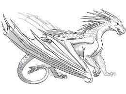 Wings Of Fire Colors Wings Of Fire Wings Of Fire Dragons Dragon Pictures