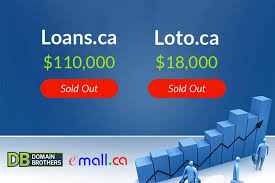 Few Domain Name Facts Domainbrothers Com Based In Toronto Is Canada S Only Ca Focused Domain Brokerage Completing Their First Ful Domain Brother Execution