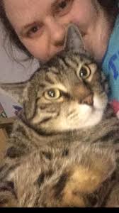 Who had the deaf cat at the Overton 150 festival?