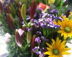 236 south maize road, wichita, ks 67209. Top 10 Florists In Wichita Ks Quick Flowers Delivery Service
