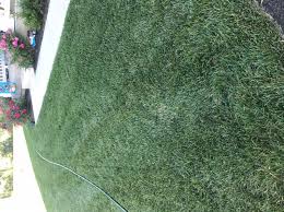 Check spelling or type a new query. Scotts Turf Builder Winterguard Fall Lawn Food 37 5 Lbs 15 000 Sq Ft Walmart Com Walmart Com