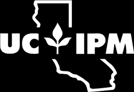Research by the university of liverpool, in conjunction with integrated pest management leader international pheromone solutions (ips), could. What Is Integrated Pest Management Ipm Uc Statewide Ipm Program Uc Ipm