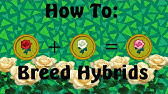 You can pluck flowers or shake trees for fruit, but the aforementioned shovel, fishing pole, net, and wetsuit are key here. Hybrid Flowers Guide Animal Crossing New Leaf Youtube