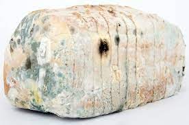 Check spelling or type a new query. Can I Put Moldy Bread In Compost Compost Starts With Mold Rolypig