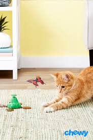 Awaken Your Cat S Natural Instincts With The Pet Zone Fly By Spinner Interactive Cat Toy Replicating The Life Cat Toys Pet Toys
