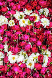 Flowers for offering at a Hindu temple, New Delhi, India, Asia ...