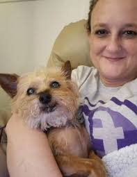 Hi all! I just wanted to introduce myself and share a photo I took. My  little buddy Dexter.