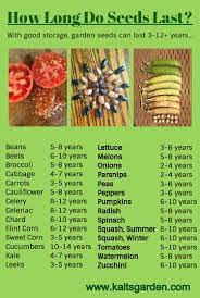How Long Do Seeds Last Really Kaits Garden Home Vegetable Garden Garden Seeds Growing Vegetables