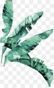Choose from 27000+ tag graphic resources and download in the form of png, eps, ai or psd. Tropical Leaves Png Tropical Leaves Watercolor Tropical Leaves Tropical Leaves Border Tropical Leaves Background Tropical Leaves Wallpaper Tropical Leaves Design Blue Tropical Leaves Tropical Leaves Printable Tropical Leaves Desktop Wallpaper