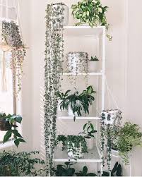 I've been writing about design online for quite a few years over we've been making corners work hard all over the house; 50 Astonishing Indoor Garden Ideas With Pictures Yhmag