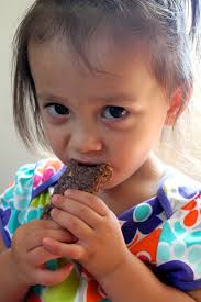 Fruition Snack Bars Review