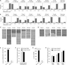 Subsequently, adenylation of the 3' ends of the cdna fragments was conducted using klenow exo (m0212l, neb). Sperm But Not Oocyte Dna Methylome Is Inherited By Zebrafish Early Embryos Cell