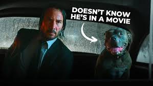 Walk Hard: The Dewey Cox Story (2007)