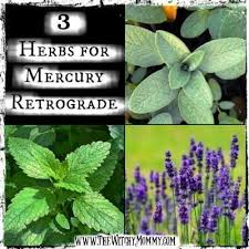 3 Herbs For Mercury Retrograde Crafting Magick Tip Mercuryretrograde Witchcraft Witchy Herbmagick Greenwitchcraft 3 Herbs For Mercury Retrog Magick Mercury