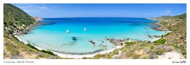 Acciolu Corse Voyage Corse