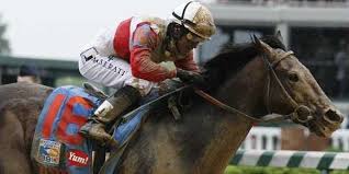 Kitchen designs are becoming more streamlined in their overall aesthetics. Preakness Betting Excel Spreadsheet