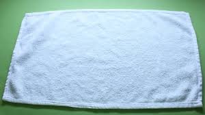Prendre 2 serviettes pliées et agrafer solidement les côtés de chaque serviette ensemble. Comment Plier Une Serviette En Forme De Cygne 6 Etapes