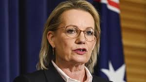 Sussan Ley to visit SA algal bloom before Anthony Albanese