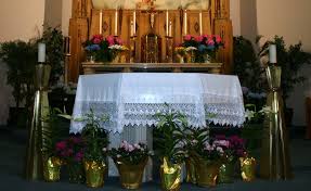 Hugs and prayers for the Toner family. Maureen, Class of '75, died this  morning after a long illness.