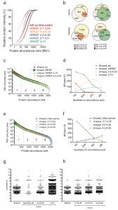 Below are two partial sequences of dna bases (shown for only one strand of dna) sequence 1 is from a human and . In Depth Human Plasma Proteome Analysis Captures Tissue Proteins And Transfer Of Protein Variants Across The Placenta Elife