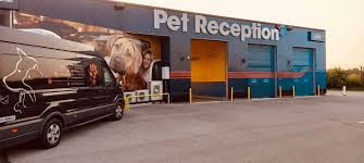 Ca iubitori de animale, întreg personalul care își desfășoară. Kslzq J8uri4dm