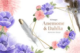 Download Anemone Dahlia Flowers Watercolor Set Graphic By Watercoloreps Creative Fabrica PSD Mockup Templates