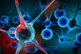 They also offer the option to. Cancer Research Day Can Cell Free Dna Test Predict Cancer In An Individual