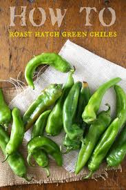 Fire roasted green chiles can. How To Roast Hatch Green Chiles Nutmeg Nanny