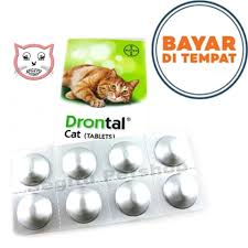 Kegunaan bayer drontal plus tablet membunuh semua jenis cacing pada hewan. Drontal Cat Obat Cacing Kucing 1 Tablet Lazada Indonesia