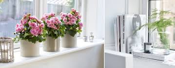 Jun 11, 2021 · la defensa del acusado recuerda al jurado que no existe ninguna prueba clara de que abel matara a dolores ortiz las acusaciones han añadido la imputación de un maltrato de obra, por el que. Https Www Xn Micasanoesdemuecas 00b Com Tips Para Decorar El Alfeizar De La Ventana