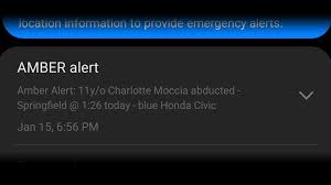 The purpose of the system is to quickly notify all south dakota law enforcement and all south dakota media as soon as possible after a child has been abducted. What You Need To Know About Amber Alerts Wwlp