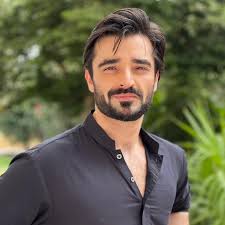 Hamza Ali Abbasi
