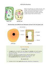 Check spelling or type a new query. 02 Cells Biology Notes Igcse 2014