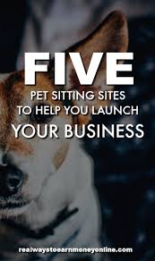 Pet taxi to vet & groomer & shopping for pet supplies; 5 Pet Sitting Sites To Help You Launch Your Business