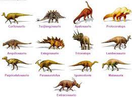 Todas las noticias sobre dinosaurios publicadas en el país. Pin On Babara