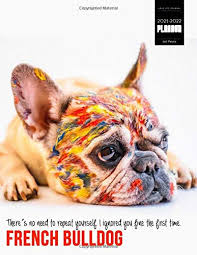 What are the trends in kitchen design for 2022? French Bulldog Meme Monthly Dual Planner 2021 2022 Organizer Notebook Combined With Us Holidays 8 5x11 120 Pages For Dog Mums Canine Lovers French Bulldog Lovers Dog Mummy Miggs Amanda 9798571433778 Amazon Com Books