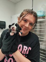 Female Roommates Wanted in Downtown Winston