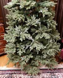 We'd like it to stay lit & not blink. This Fraser Fir Christmas Tree Isn T What I Expected Between Naps On The Porch